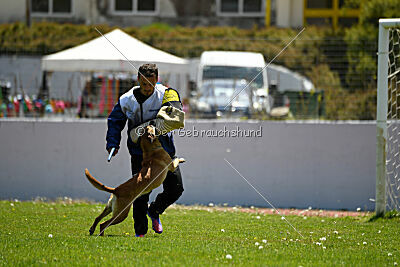 Uma Anubis the Second