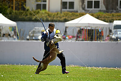 Uma Anubis the Second