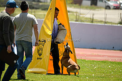 Uma Anubis the Second