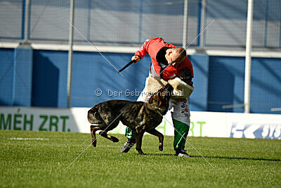 Uma vom Pfaffenbachtal