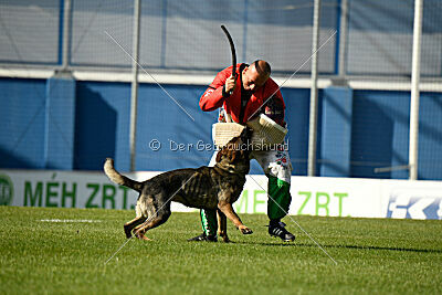 Uma vom Pfaffenbachtal