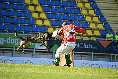 Uma vom Pfaffenbachtal