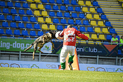 Uma vom Pfaffenbachtal