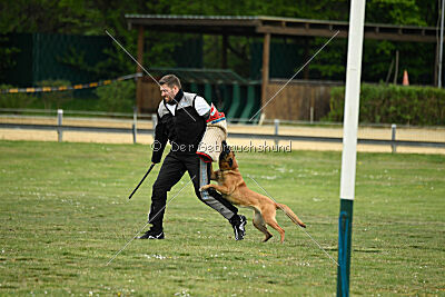 Una vom Holzhäuser Flur