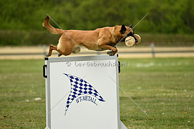 Una vom Holzhäuser Flur