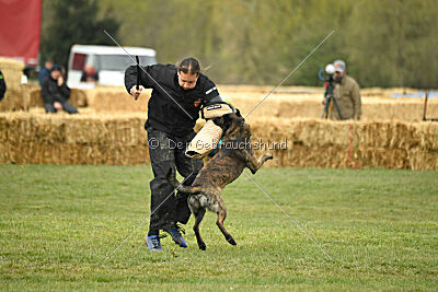 United Dutch Gumball