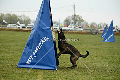 United Dutch Gumball