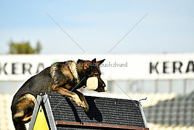 Uno von der Wolfskralle