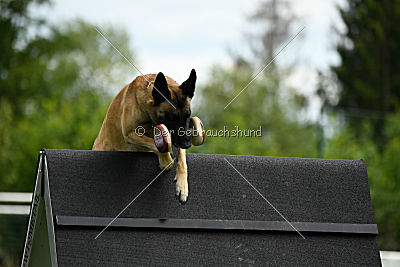 Unruhig vom Further Moor