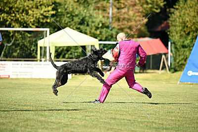 Uranos Uras Goldest Danubius