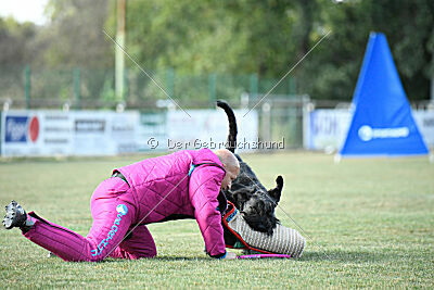 Uranos Uras Goldest Danubius