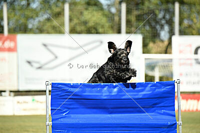 Uranos Uras Goldest Danubius