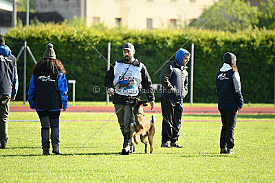 Urbancanines Hunter