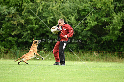 Van Gogh von der Steinteichmühle