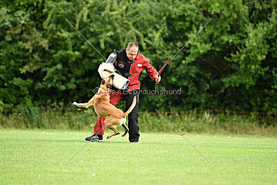 Van Gogh von der Steinteichmühle