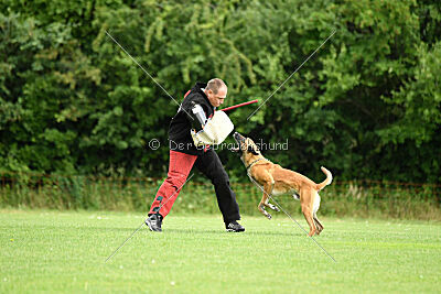 Van Gogh von der Steinteichmühle