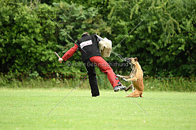 Van Gogh von der Steinteichmühle