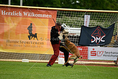 Van Gogh von der Steinteichmühle