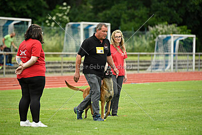 Van Gogh von der Steinteichmühle