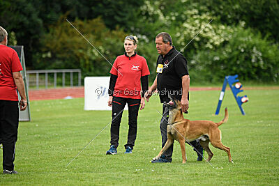 Van Gogh von der Steinteichmühle