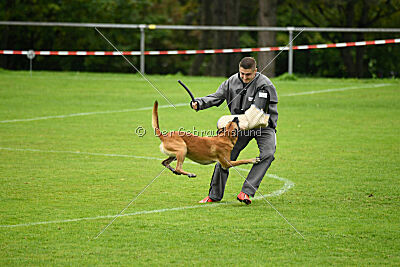 Van Gogh von der Steinteichmühle