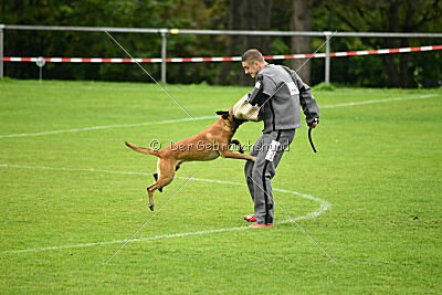 Van Gogh von der Steinteichmühle