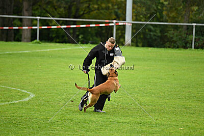 Van Gogh von der Steinteichmühle