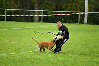 Van Gogh von der Steinteichmühle