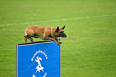 Van Gogh von der Steinteichmühle