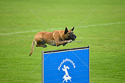 Van Gogh von der Steinteichmühle