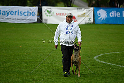 Van Gogh von der Steinteichmühle
