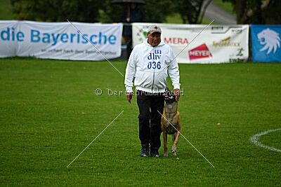 Van Gogh von der Steinteichmühle
