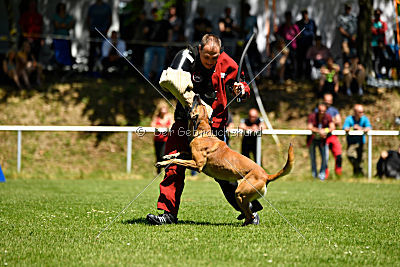 Van Gogh von der Steinteichmühle