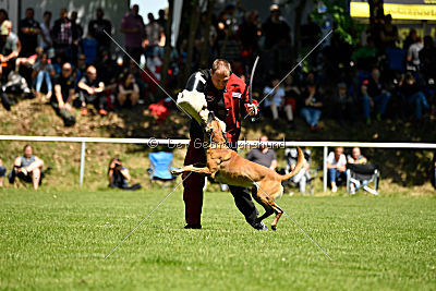 Van Gogh von der Steinteichmühle