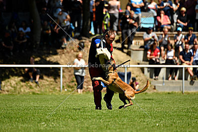 Van Gogh von der Steinteichmühle