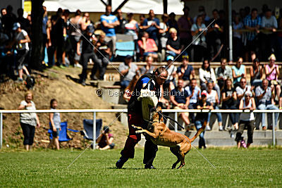 Van Gogh von der Steinteichmühle