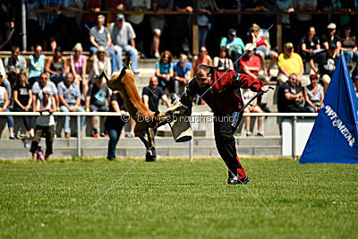 Van Gogh von der Steinteichmühle