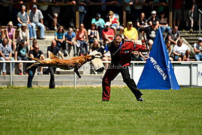 Van Gogh von der Steinteichmühle