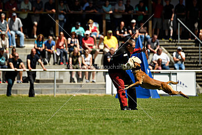 Van Gogh von der Steinteichmühle