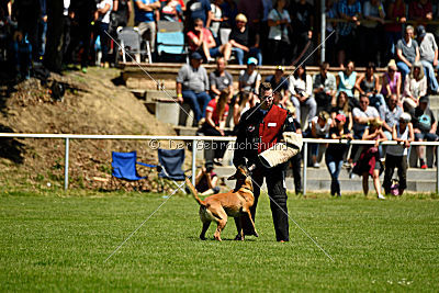 Van Gogh von der Steinteichmühle