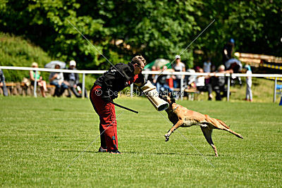 Van Gogh von der Steinteichmühle