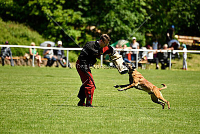 Van Gogh von der Steinteichmühle