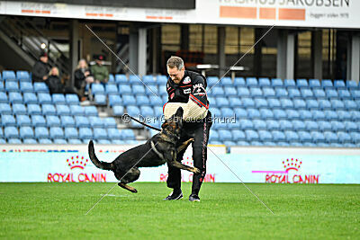 Varro Grey Archibald