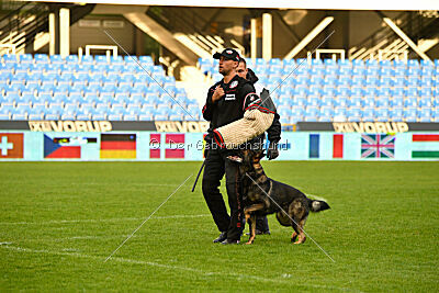 Varro Grey Archibald