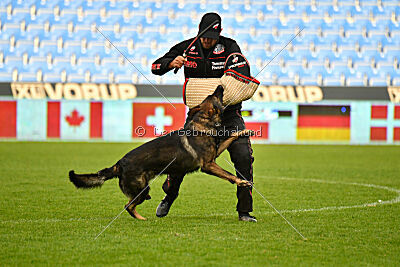 Varro Grey Archibald