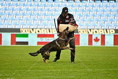 Varro Grey Archibald