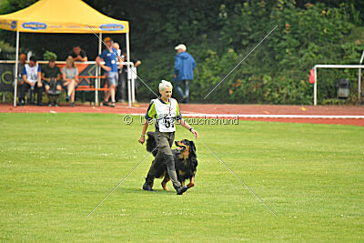 Varro von der Jagsthöhe