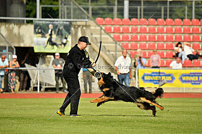Varro von der Jagsthöhe