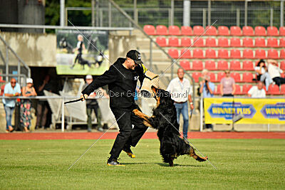 Varro von der Jagsthöhe