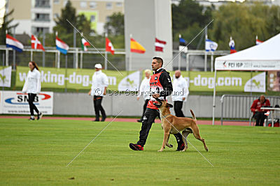 Vaxx Vaxxen von der Steinteichmühle